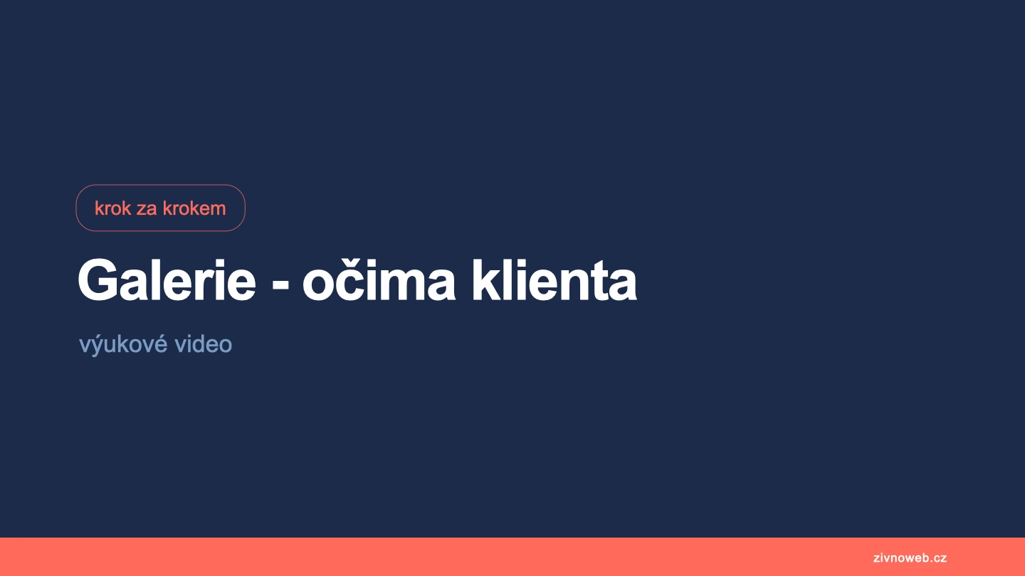Galerie z pohledu klienta – výběr fotek a předání