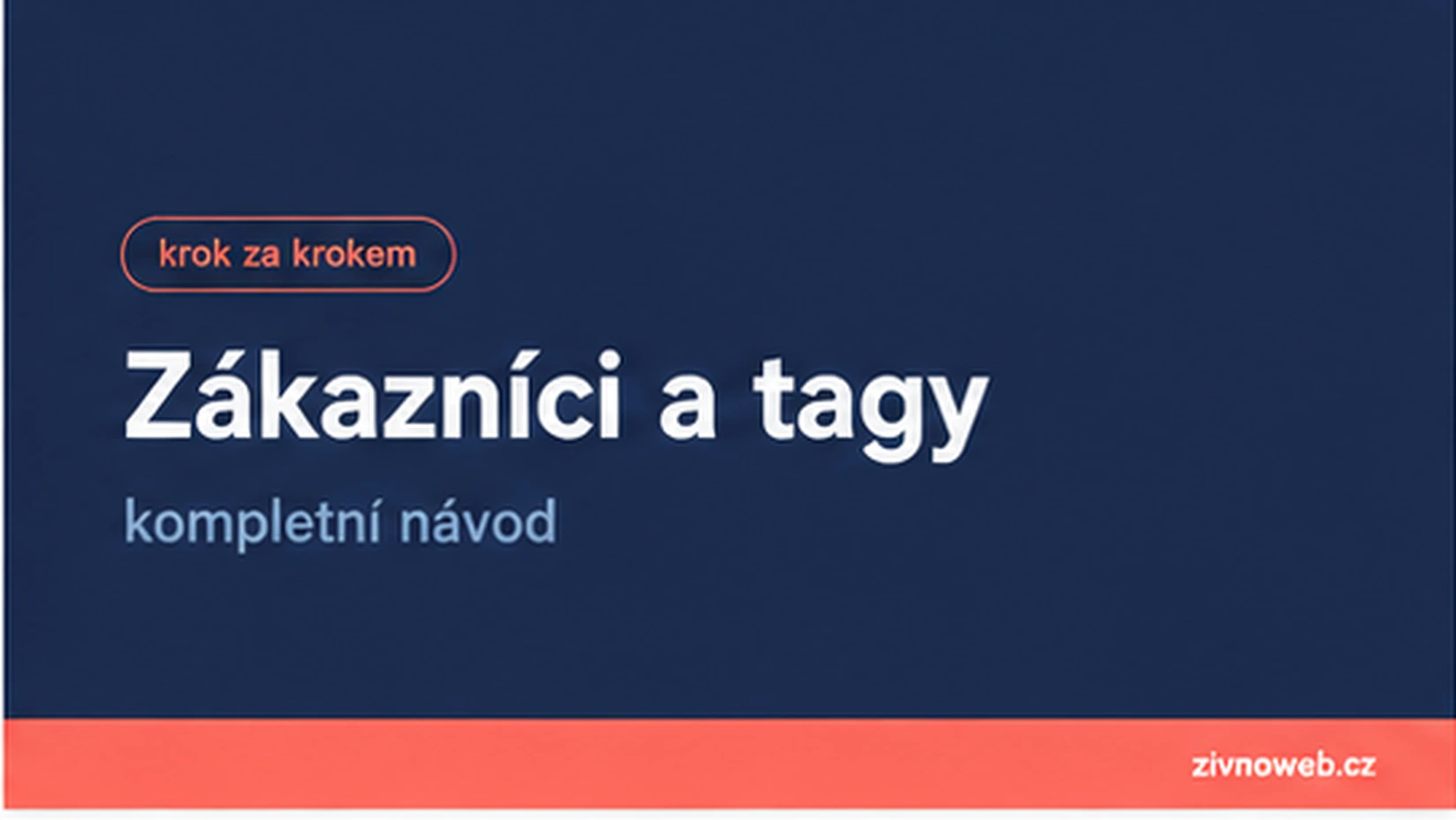 Zákazníci a tagy: kompletní návod