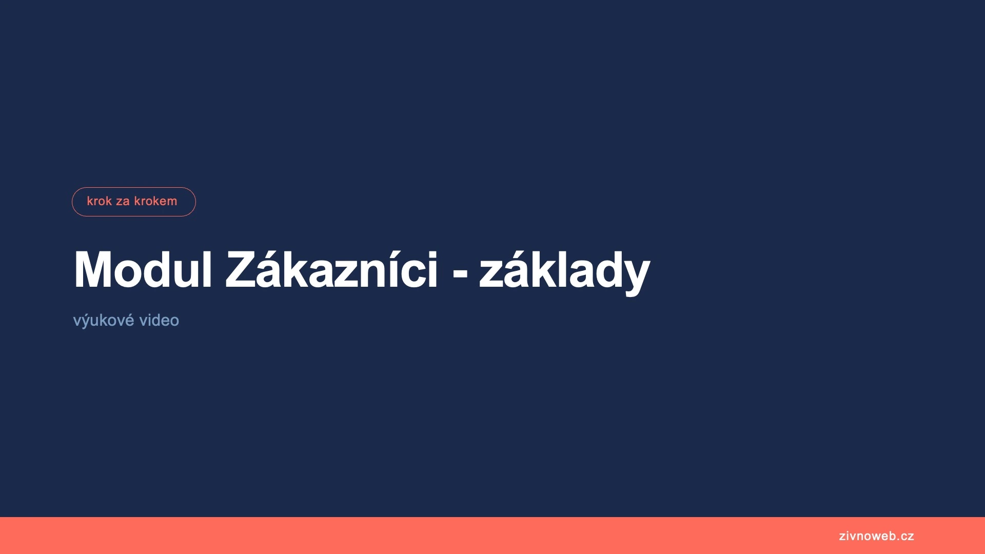Modul Zákazníci – karta zákazníka a práce s databází