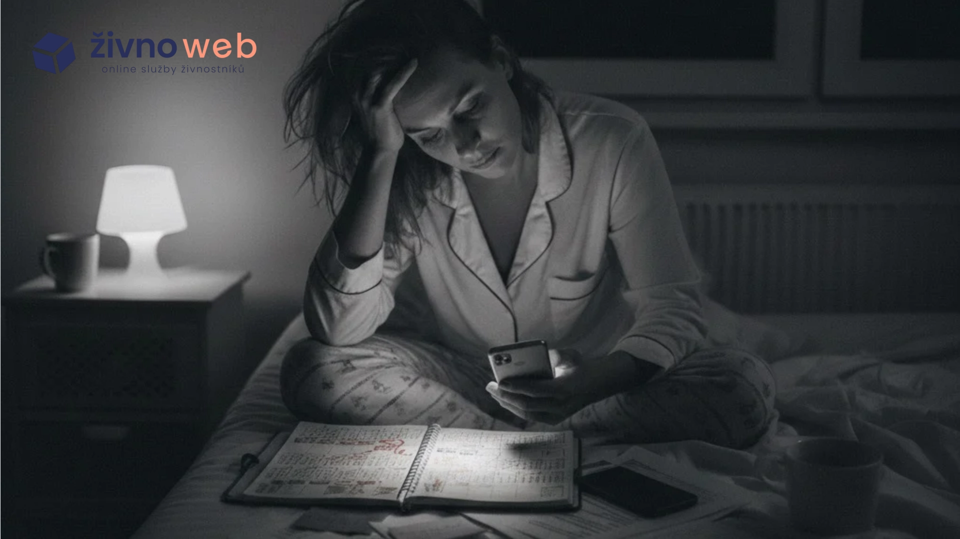 Profesionální web